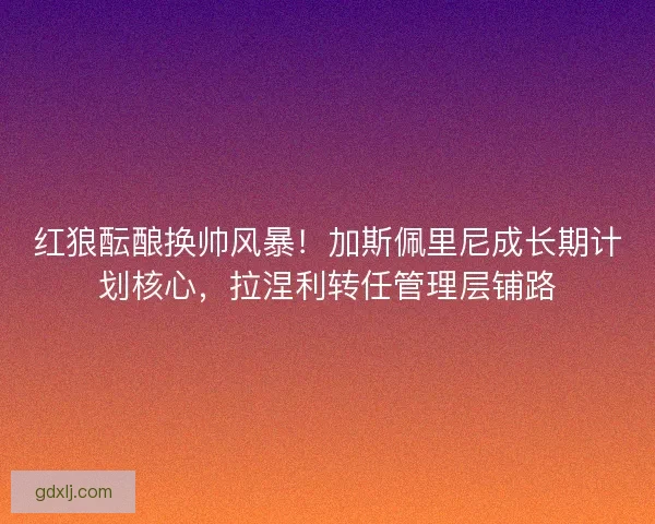 红狼酝酿换帅风暴！加斯佩里尼成长期计划核心，拉涅利转任管理层铺路