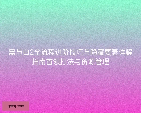 黑与白2全流程进阶技巧与隐藏要素详解指南首领打法与资源管理