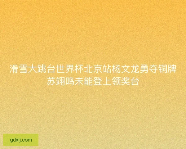 滑雪大跳台世界杯北京站杨文龙勇夺铜牌苏翊鸣未能登上领奖台